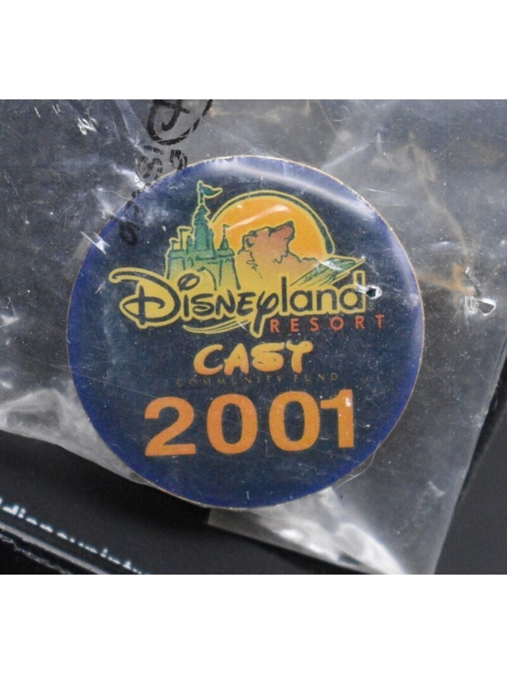 Disney DLR Cast Community Fund 2001 Bear Logo Pin (C9)